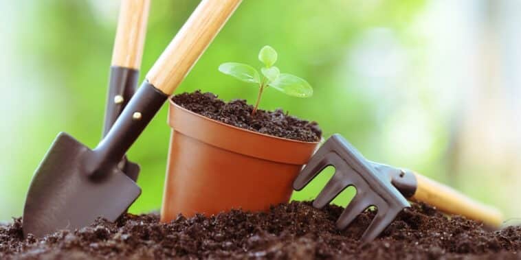 Astuces de jardinage : découvrez les travaux incontournables à débuter en mai
