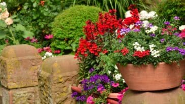 Nos astuces pour dénicher la fleur d'ombre parfaite qui sublimera votre jardin tout l'été !