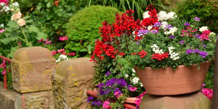 Nos astuces pour dénicher la fleur d'ombre parfaite qui sublimera votre jardin tout l'été !