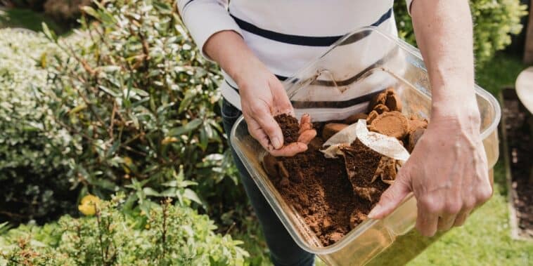 Astuces malines pour éloigner les fourmis : découvrez les vertus insoupçonnées du marc de café