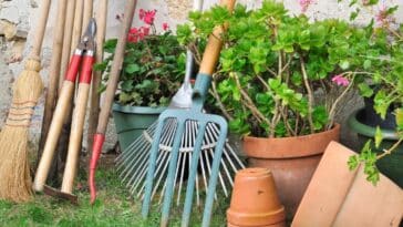 Comment bien nettoyer et entretenir vos outils de jardin ?