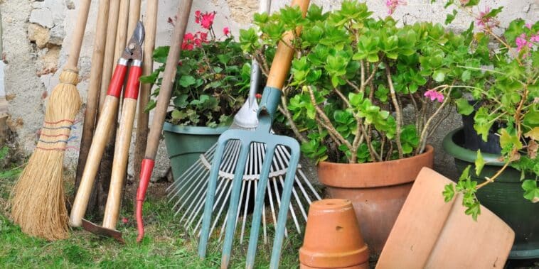 Comment bien nettoyer et entretenir vos outils de jardin ?