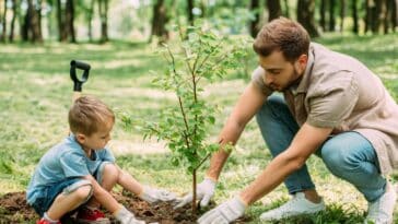 Arbres fruitiers à planter en juin : 3 inspirations exotiques rien que pour vous