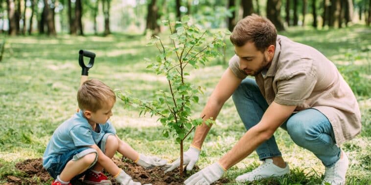 Arbres fruitiers à planter en juin : 3 inspirations exotiques rien que pour vous