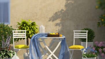 Quel arbre pour un balcon ensoleillé ? 5 variétés qui se plaisent en contenant et aiment le soleil