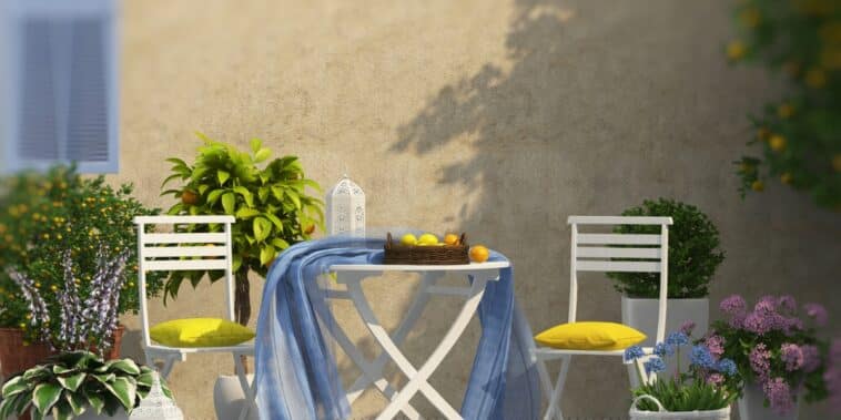 Quel arbre pour un balcon ensoleillé ? 5 variétés qui se plaisent en contenant et aiment le soleil