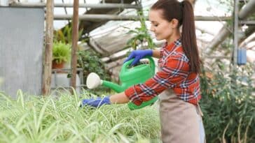 Comment maintenir l'arrosage de votre jardin sous serre pendant vos absences : astuces pour les vacanciers jardiniers