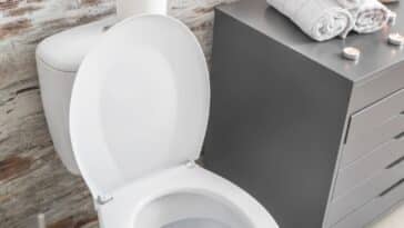Comment venir à bout des vers blancs dans les toilettes avec des solutions naturelles ? Découvrez 5 astuces et remèdes maison efficaces