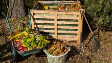 Comment entretenir le compost en été : 4 astuces essentielles pour réussir son compostage malgré la chaleur
