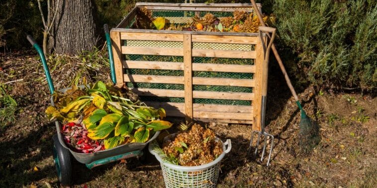 Comment entretenir le compost en été : 4 astuces essentielles pour réussir son compostage malgré la chaleur
