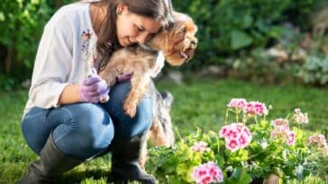 Conseils pratiques pour votre jardin : activités estivales à ne pas manquer