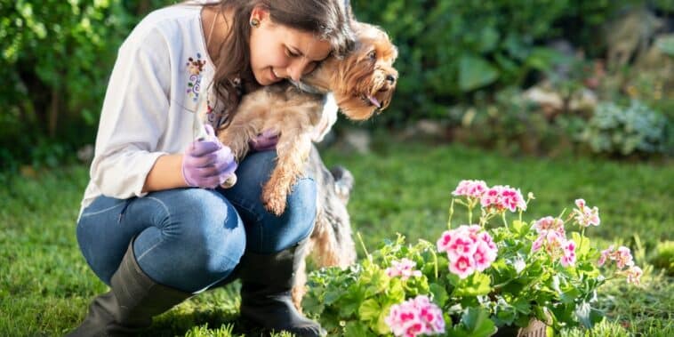 Conseils pratiques pour votre jardin : activités estivales à ne pas manquer