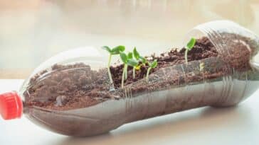 Comment transformer une bouteille en plastique pour votre jardin : 4 idées créatives à essayer immédiatement