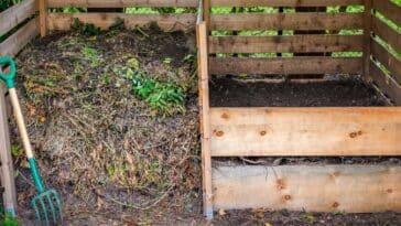 Astuces jardinage : que mettre au fond d’un composteur pour un engrais de qualité ?