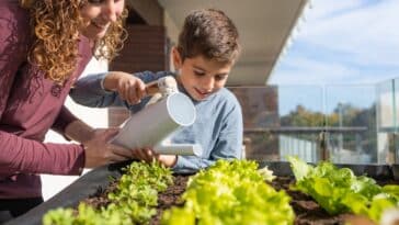 Arrosez votre jardin et potager à cette heure précise pour des plantes éclatantes malgré la canicule qui arrive : découvrez nos astuces incontournables