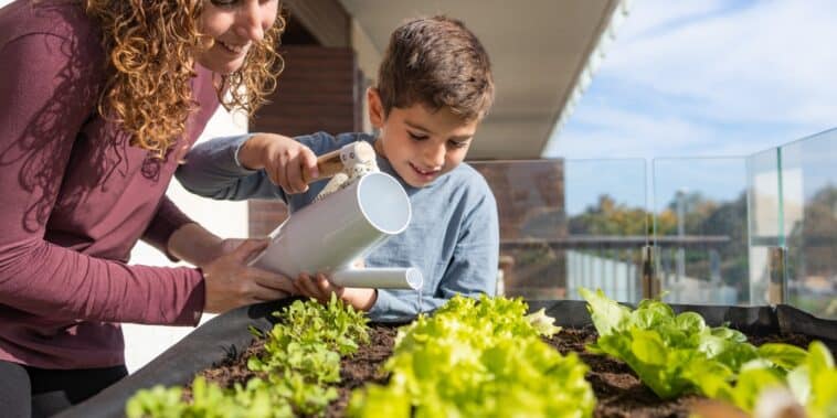 Arrosez votre jardin et potager à cette heure précise pour des plantes éclatantes malgré la canicule qui arrive : découvrez nos astuces incontournables
