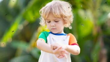 Conseils pratiques pour protéger les bébés des moustiques : 5 solutions naturelles efficaces