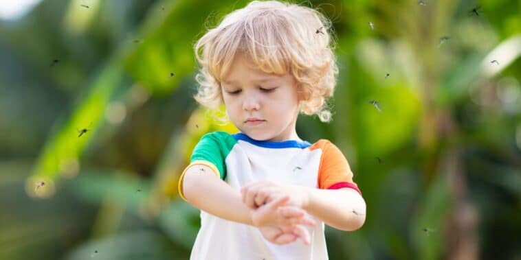 Conseils pratiques pour protéger les bébés des moustiques : 5 solutions naturelles efficaces