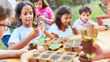 La chaleur arrive : quelles sont les plantes qui résistent le mieux aux fortes températures et à la sécheresse ?
