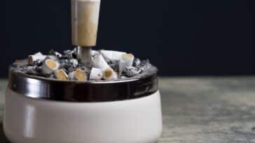 Découvrez la plante miracle qui élimine les odeurs de tabac de votre maison pour toujours !