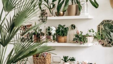 Cultivez le bien-être chez vous : les 7 plantes d'intérieur incontournables pour une touche de fraîcheur et de couleur