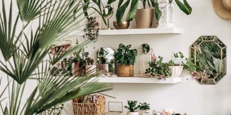 Cultivez le bien-être chez vous : les 7 plantes d'intérieur incontournables pour une touche de fraîcheur et de couleur