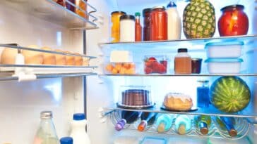 Comment conserver les aliments pour une qualité et une saveur maximales ?