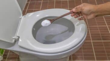 Le secret de cuisine surprenant pour déboucher vos toilettes rapidement !