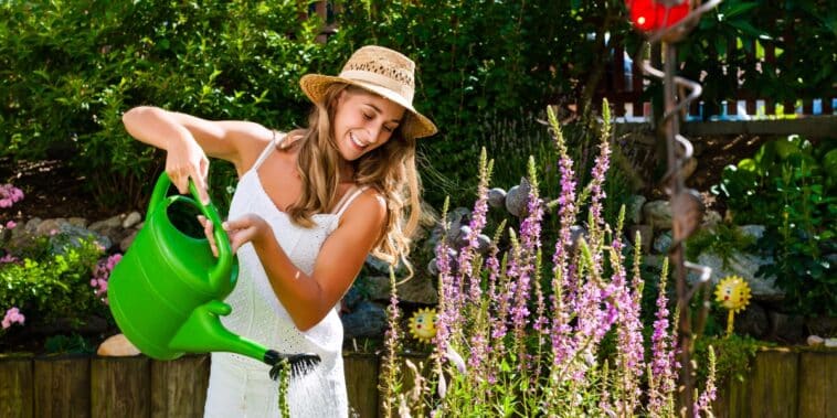 Fortes chaleurs : voici l’heure exacte à laquelle il faut arroser le jardin