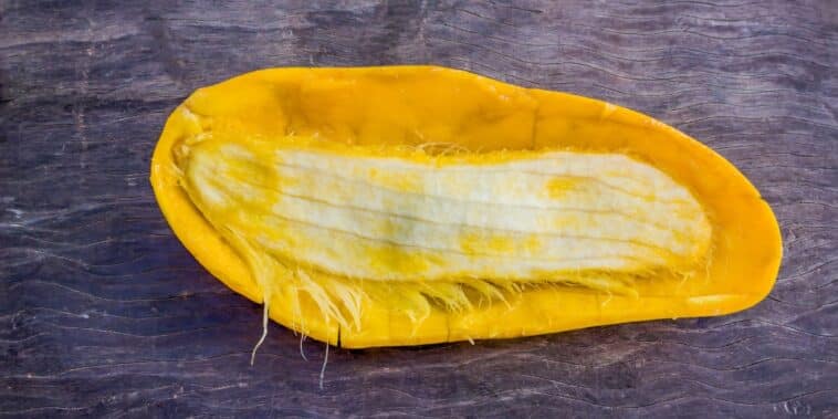 Comment planter une graine de mangue et la faire pousser avec succès en 5 étapes simples ?