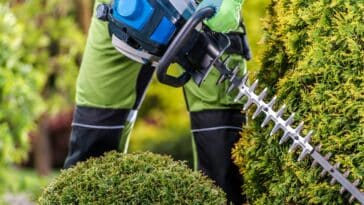 Astuces pour un jardin resplendissant : découvrez pourquoi tailler vos plantes et arbres est essentiel