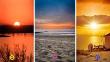 Test de personnalité : Quel coucher de soleil vous captive ? Révélez si vous êtes un esprit coopératif ou conflictuel en choisissant parmi ces 3 merveilles célestes !