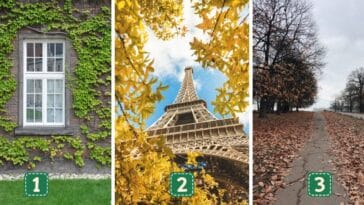 Test de personnalité : Choisissez une image et révélez les clés de votre ressourcement ultime !