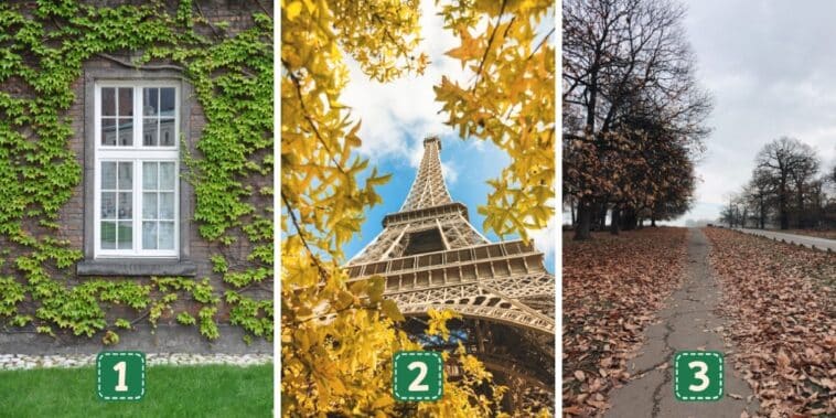 Test de personnalité : Choisissez une image et révélez les clés de votre ressourcement ultime !