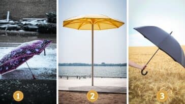 Test de personnalité : Quel parapluie choisissez-vous ? Découvrez si vous avez un esprit de compétiteur ou de coopérateur caché derrière votre choix !