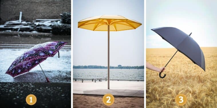 Test de personnalité : Quel parapluie choisissez-vous ? Découvrez si vous avez un esprit de compétiteur ou de coopérateur caché derrière votre choix !