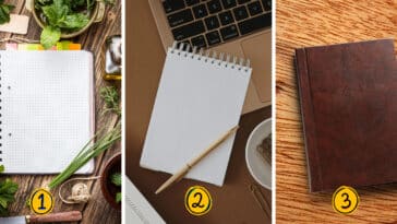 Test de personnalité : Calme ou tempête ? Choisissez un des 3 planificateurs et révélez votre niveau de patience au quotidien !