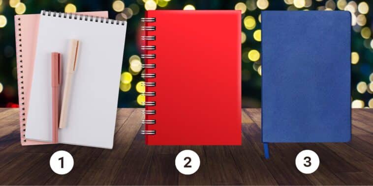 Test de personnalité : Quel carnet vous attire le plus ? Choisissez parmi ces 3 et découvrez si vous êtes un rêveur idéaliste ou un pragmatique réaliste !