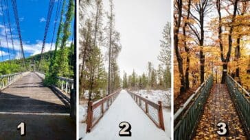 Test de personnalité : Quel pont choisiriez-vous de traverser parmi ces 3 ? Votre sélection dévoile votre rapport secret aux nouvelles technologies ! Découvrez-le maintenant !