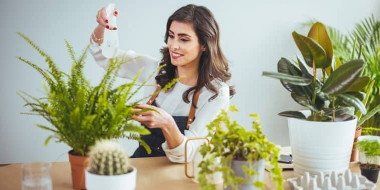 découvrez nos astuces et conseils pratiques pour chouchouter vos plantes d'intérieur et transformer votre espace en un véritable havre de verdure. apprenez à les nourrir, les arroser et les entretenir pour un intérieur sain et accueillant.