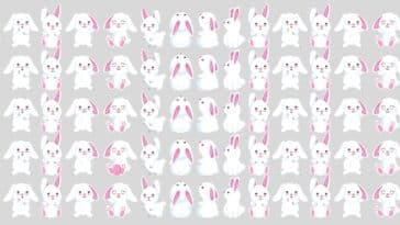 Défi visuel : plongez dans une aventure captivante où foisonnent les lapins et découvrez si vous pouvez repérer l'œuf astucieusement dissimulé en moins de 15 secondes ! Saurez-vous relever le challenge ?
