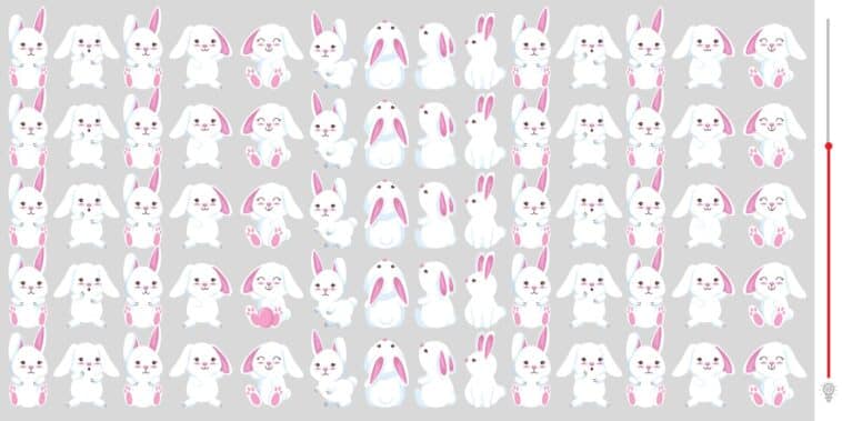 Défi visuel : plongez dans une aventure captivante où foisonnent les lapins et découvrez si vous pouvez repérer l'œuf astucieusement dissimulé en moins de 15 secondes ! Saurez-vous relever le challenge ?