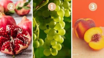 Test de personnalité : Quel fruit êtes-vous vraiment ? Choisissez parmi ces 3 et révélez votre nature ludique, structurée ou contemplative !
