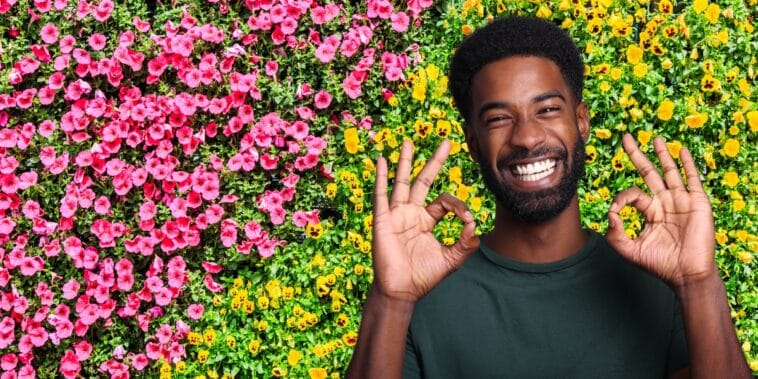 5 plantes grimpantes incontournables pour habiller votre clôture avec élégance