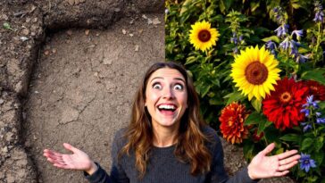 découvrez comment j'ai métamorphosé le coin le moins attrayant de mon jardin en un véritable havre de paix grâce à trois fleurs robustes. inspirez-vous de ma transformation et apprenez des astuces faciles pour embellir votre espace extérieur.