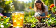 apprenez à transformer le liquide sucré que vous jetez en été en un précieux allié pour hydrater vos plantes pendant les vagues de chaleur. découvrez cette astuce anti-gaspillage efficace et respectueuse de l'environnement.