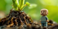 découvrez comment protéger efficacement vos plantes face à ce petit nuisible qui attaque discrètement vos racines, et adoptez les meilleures solutions pour le neutraliser avant qu’il ne cause trop de dégâts.