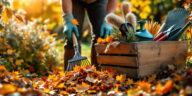 découvrez les gestes essentiels à adopter pour préparer votre jardin avant l'automne et assurer une saison riche en couleurs et en bonne santé.