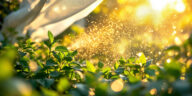 découvrez des conseils pratiques pour protéger vos plantes des fortes chaleurs et garantir leur santé durant l'été.