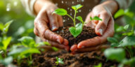 découvrez des solutions naturelles efficaces pour prendre soin de vos plantes et favoriser leur croissance tout en respectant l'environnement.